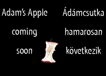 Adam's Apple (Ádámcsutka)